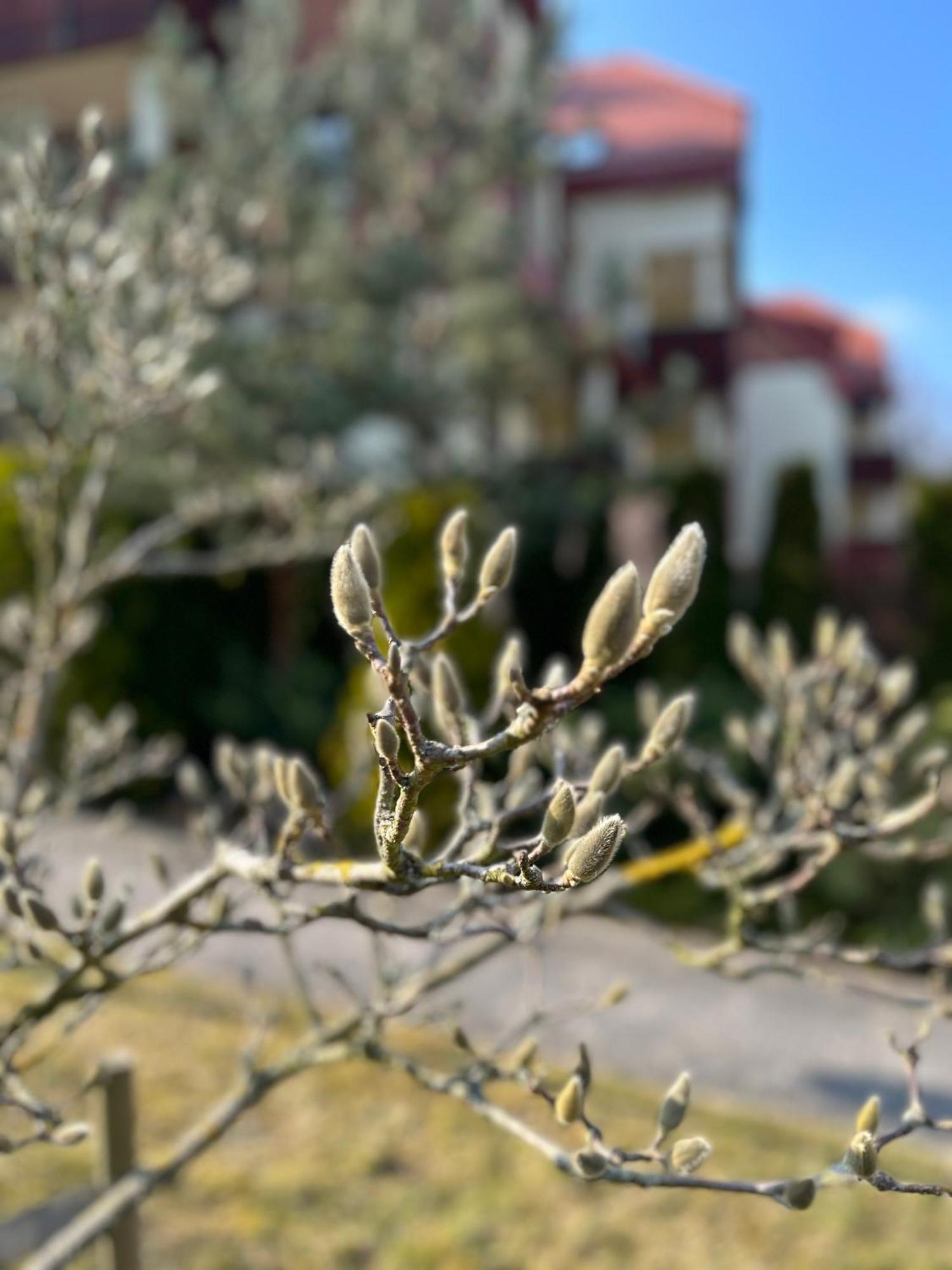 Apartament Josefina Polanica-Zdrój Εξωτερικό φωτογραφία
